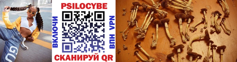 Псилоцибиновые грибы Cubensis MEGA маркетплейс Ярцево